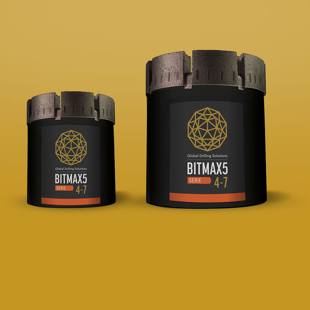BITMAX 5