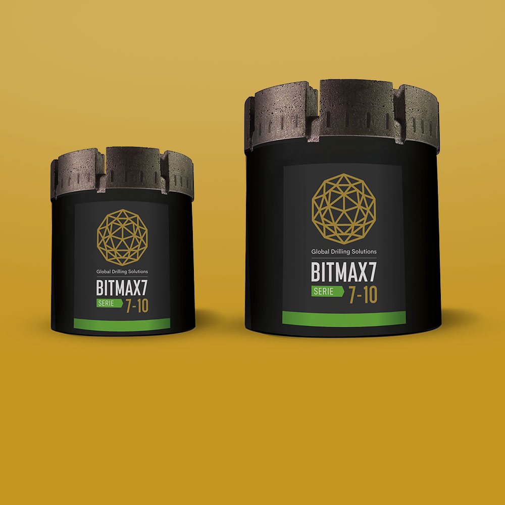 BITMAX 7